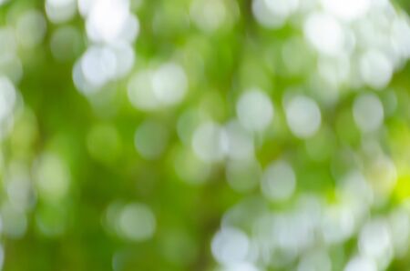 Abstract circular green bokeh backgroundの写真素材