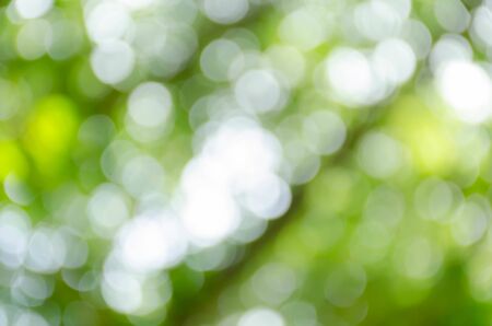 Abstract circular green bokeh backgroundの写真素材