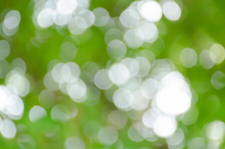 Abstract circular green bokeh backgroundの写真素材