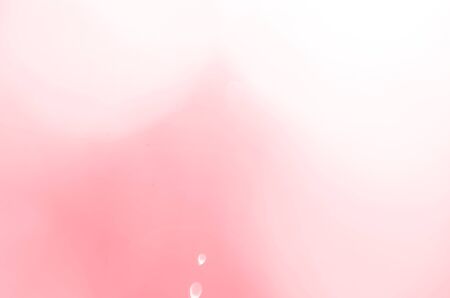 Light pink old rose bokeh abstract backgroundの写真素材