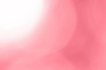 Light pink old rose bokeh abstract backgroundの写真素材