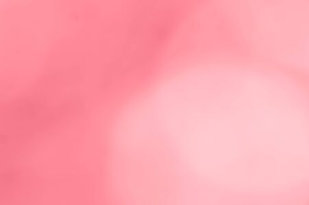 Light pink old rose bokeh abstract backgroundの写真素材