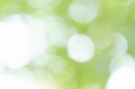 green bokeh from treeの写真素材