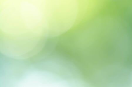 Abstract Bokeh Light Green Backgroundの写真素材