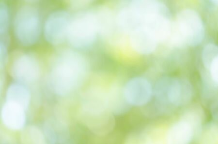 abstract background is green bokeh light is colorfulの写真素材