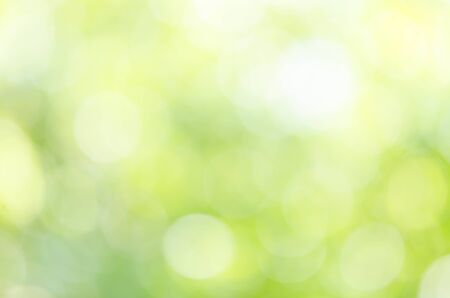 Abstract natural green bokeh backgroundの写真素材