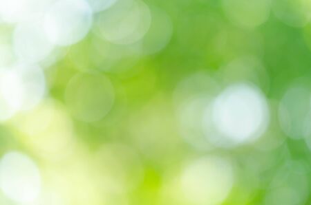 Abstract natural green bokeh backgroundの写真素材