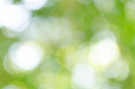 Abstract natural green bokeh backgroundの写真素材
