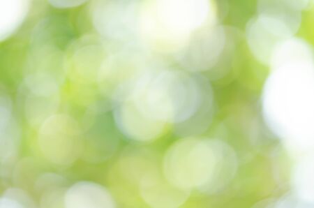 Abstract natural green bokeh backgroundの写真素材