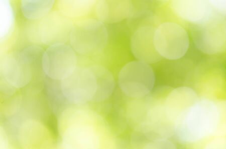 Abstract natural green bokeh backgroundの写真素材