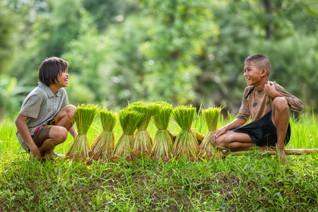 Two rural Thai children sit and laugh happily before carrying rice saplings to the fields for planting.の写真素材
