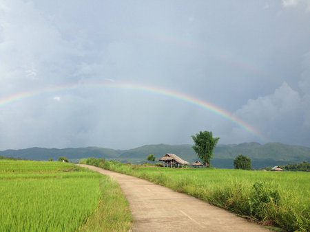 Rainbow dayの素材