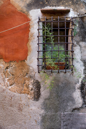 Window