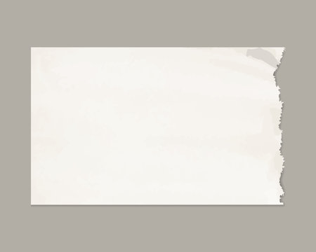 Torn Paper, real brown paper torn or ripped pieces of paper in grey backgroundのイラスト素材