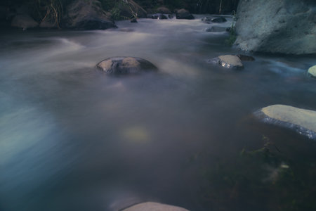 River stream in the mountains. Mountain river stream in woods