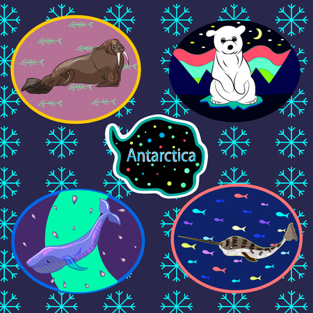 Vector set of Antarctic animals. Polar bear, walrus, whale, narwhal. Blue background with snowflakes.のイラスト素材