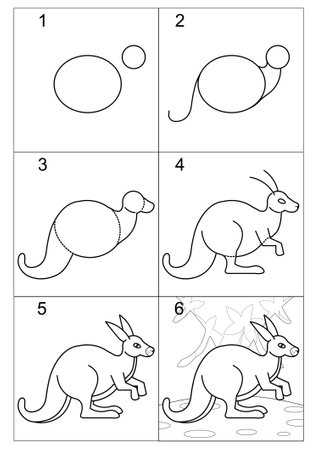 step-by-step instructions on how to draw a cartoon kangaroo. Cute image of an African animal on a forest background. online art, coloring, sketch, lesson, tutorial for childrenのイラスト素材