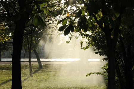 garden irrigationの写真素材