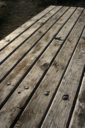 bench