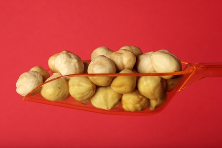 hazelnutの写真素材