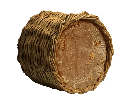 honeyの写真素材