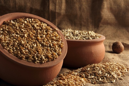 cerealの写真素材