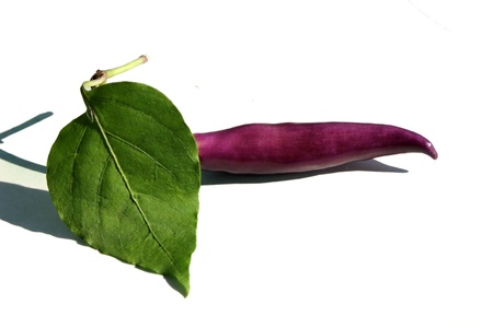 purple pepperの写真素材