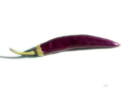 purple pepperの写真素材