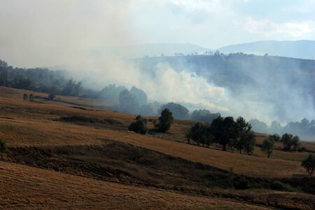 stubble burningの写真素材
