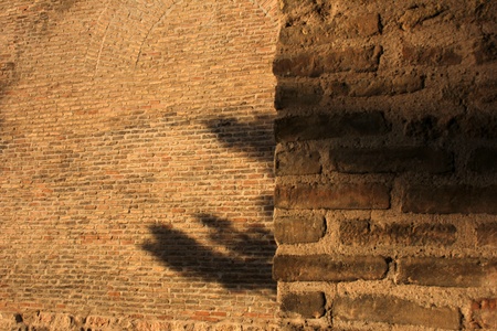 wallpaperの写真素材