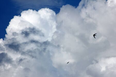 Skyの写真素材