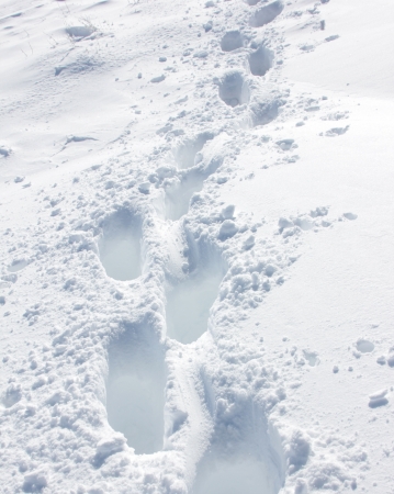 Snowy Mountainsの写真素材