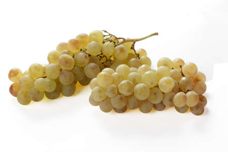 Grapeの写真素材