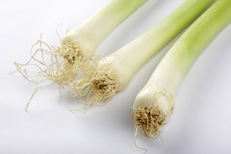 leek