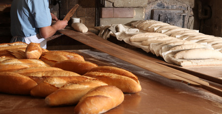 Bread