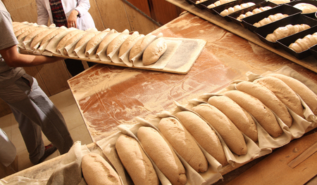 Bread