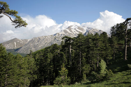 Mountainの写真素材