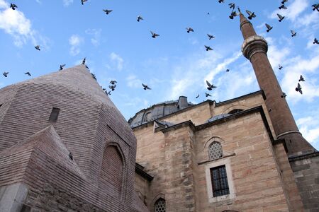 mosqueの写真素材