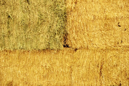 Strawの写真素材