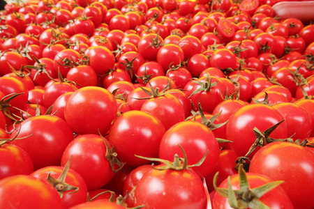 Tomatoの写真素材
