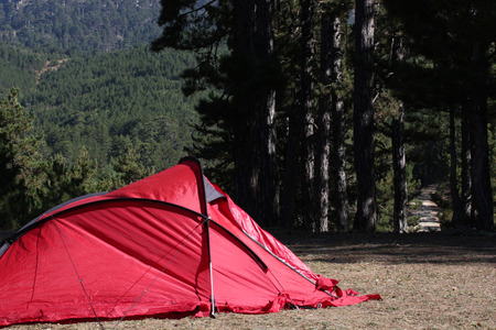 Forest Campの写真素材