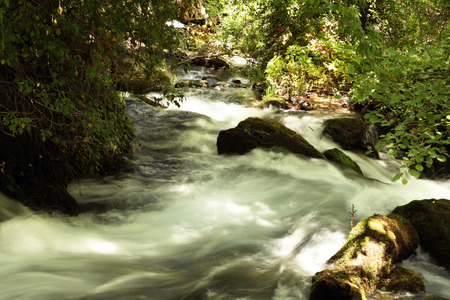 Brookの写真素材