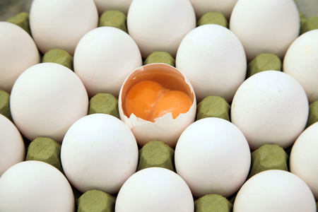Double yellow egg in cartonの写真素材