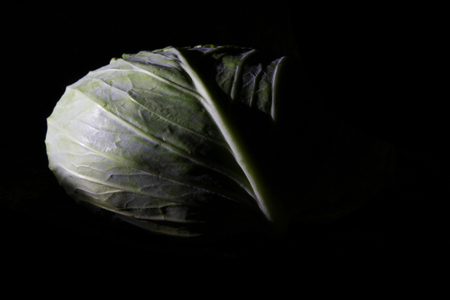 Cabbageの写真素材