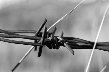 Barbed Wireの写真素材