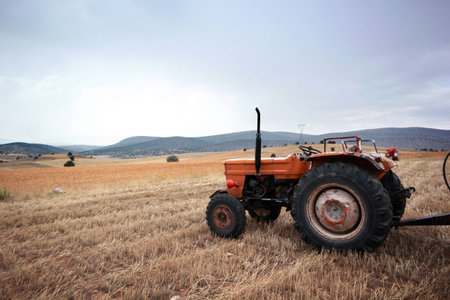 Tractor in wheat fieldの写真素材