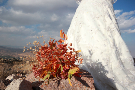 The bride in natureの写真素材