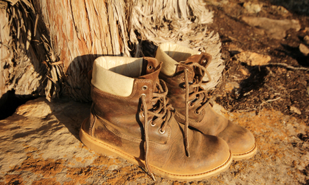 mountain shoe on stone