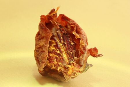 dried apples on yellow backgroundの写真素材