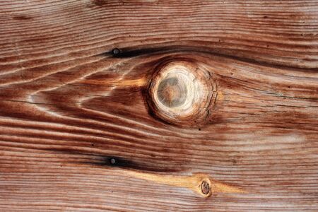 The texture of a wooden log. The texture of lumber.の写真素材